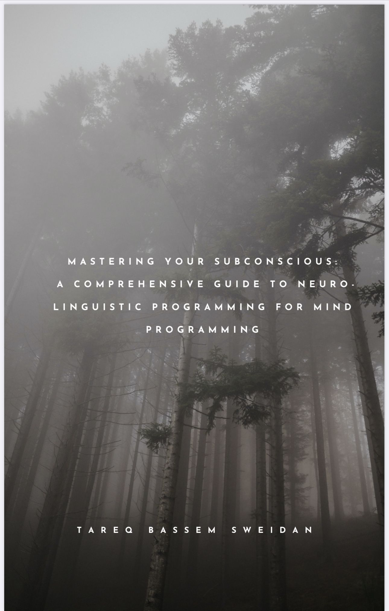 Brainset Coaching Academy book cover